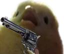 birbgun