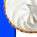 honk_24 honk_24