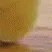 pikachu_24