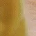pikachu_19