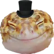 happygecko