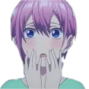 IchikaShook