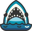 shark shark