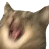 SCREM