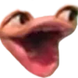 poggy