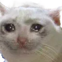 bruh