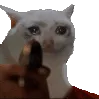 SadCatGun