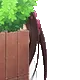 BocchiPeek BocchiPeek