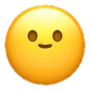 slightsmile