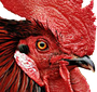 :GWpepestankokokocockerel: Discord Emote