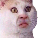 :Wut: Discord Emote