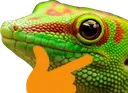 thingecko