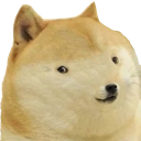 tinyeyedoge
