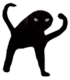 cursedcat cursedcat