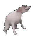 :mmmmmmmmmmmm: Discord Emote