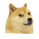 3Doge