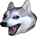 ahahadoge