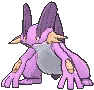 swampertshiny