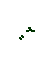 appear