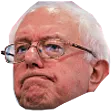 BernieDepressed