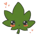 WeedCute