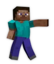 stevepoint