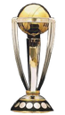 worldcup Discord emoji