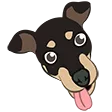 kimkimSillyBelle