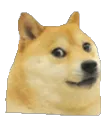 doge