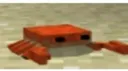 crab
