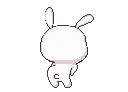 rabbitdance2