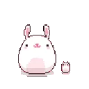 rabbithop
