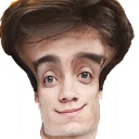 danismart danismart