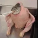 isomkefisheveryday