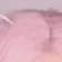 belledel_3 belledel_3