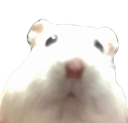 :ompee: Discord Emote