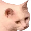 notech