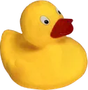 9811_Duck