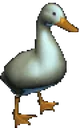 3003_hahaDuck