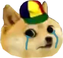 dogekidcry