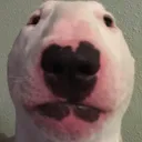 walter