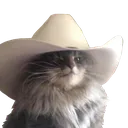 mauwdy