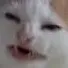 maunolikebanana
