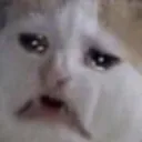 PeKucingNangis
