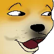 Poge