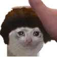 tricatpetted