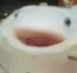 happyfish