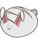 bunnyBreb bunnyBreb