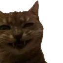 evil_cat evil_cat