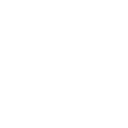 skwod Discord emoji